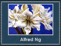 5107871_Alfred_Ng 