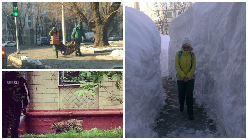  Неподражаемые картины русской жизни с ее национальными особенностями люди, прикол, россия, юмор