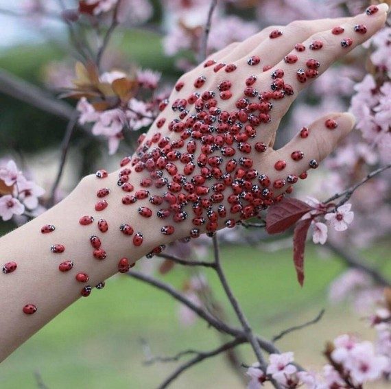 Забавная подборка дня Забавная подборка дня