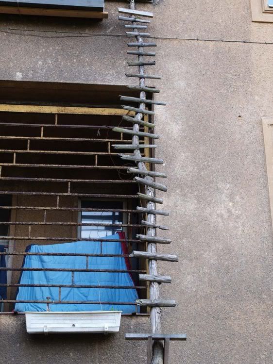 Кошачьи лесенки Кошачьи лесенки