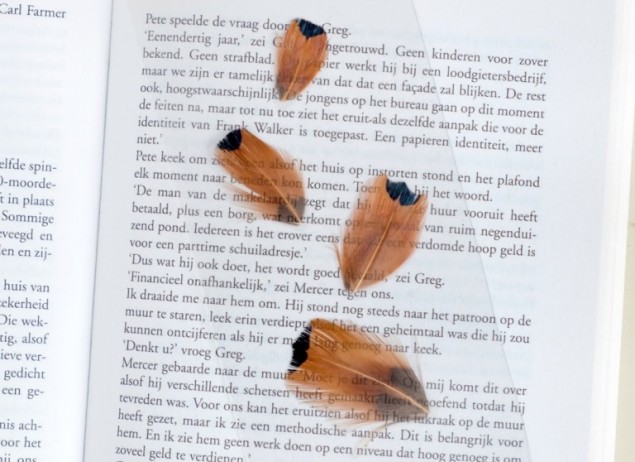 Поделки из перьев — 5 интересных идей Поделки из перьев — 5 интересных идей из перьев,рукоделие,своими руками