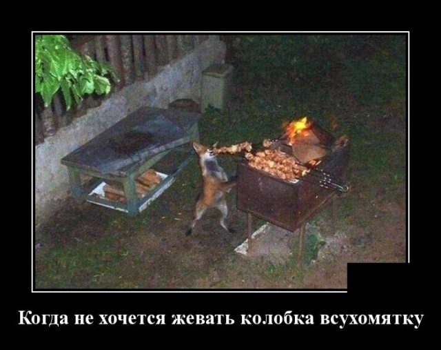 Демотиваторы. Убойные картинки! Демотиваторы. Убойные картинки! демотиваторы