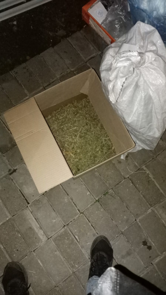 Житель Подмосковья занимался изготовлением марихуаны в Михайловском районе Рязанской области