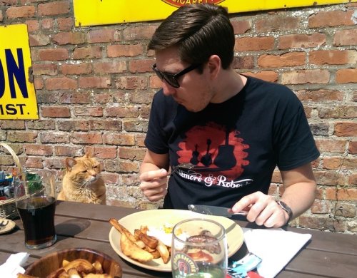 Случайно-удачные кадры Случайно-удачные кадры