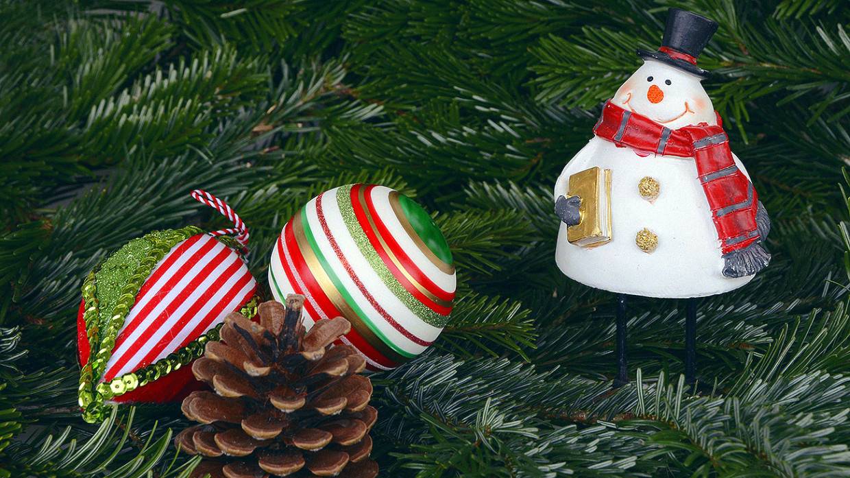 Дизайнер Преображенская дала советы по подготовке к встрече года Голубого Водяного Тигра Общество