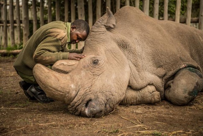 35 лучших фото от National Geographic за всю историю бренда Природа