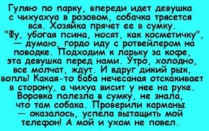 Подборка из 15 веселых историй для создания хорошего, позитивного настроения 