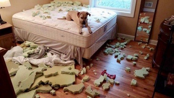 Позитив сплошь и рядом Позитив сплошь и рядом