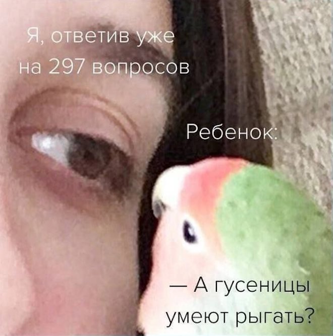 Интернет мемы на пятницу и боевая жена  