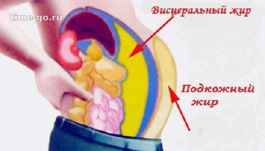 Висцеральный жир. Через 2 месяца ты забудешь об этой гадости!