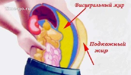 Висцеральный жир. Через 2 месяца ты забудешь об этой гадости! Висцеральный жир. Через 2 месяца ты забудешь об этой гадости!