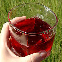 Традиционный рождественский сок из гибискуса