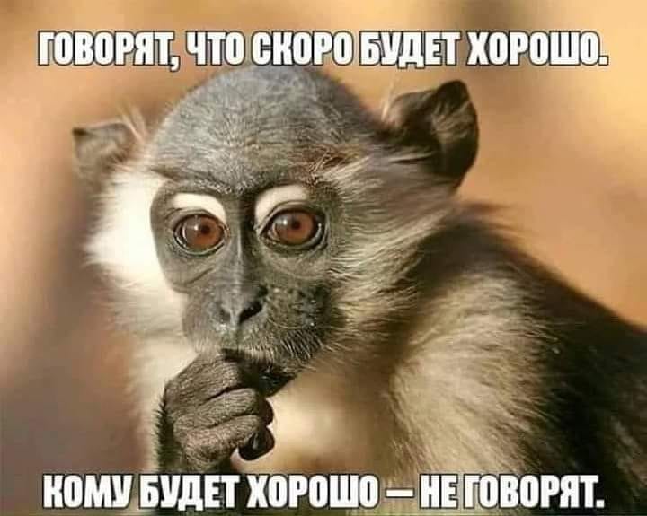 - Дети, - говорит учительница классу, - сегодня в 20.15 будет полное затмение луны...