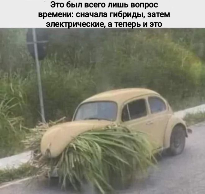 Юмор для тех, кто уже повзрослел и понял, что «маркетплейс» — это ловушка для зарплаты Юмор для тех, кто уже повзрослел и понял, что «маркетплейс» — это ловушка для зарплаты