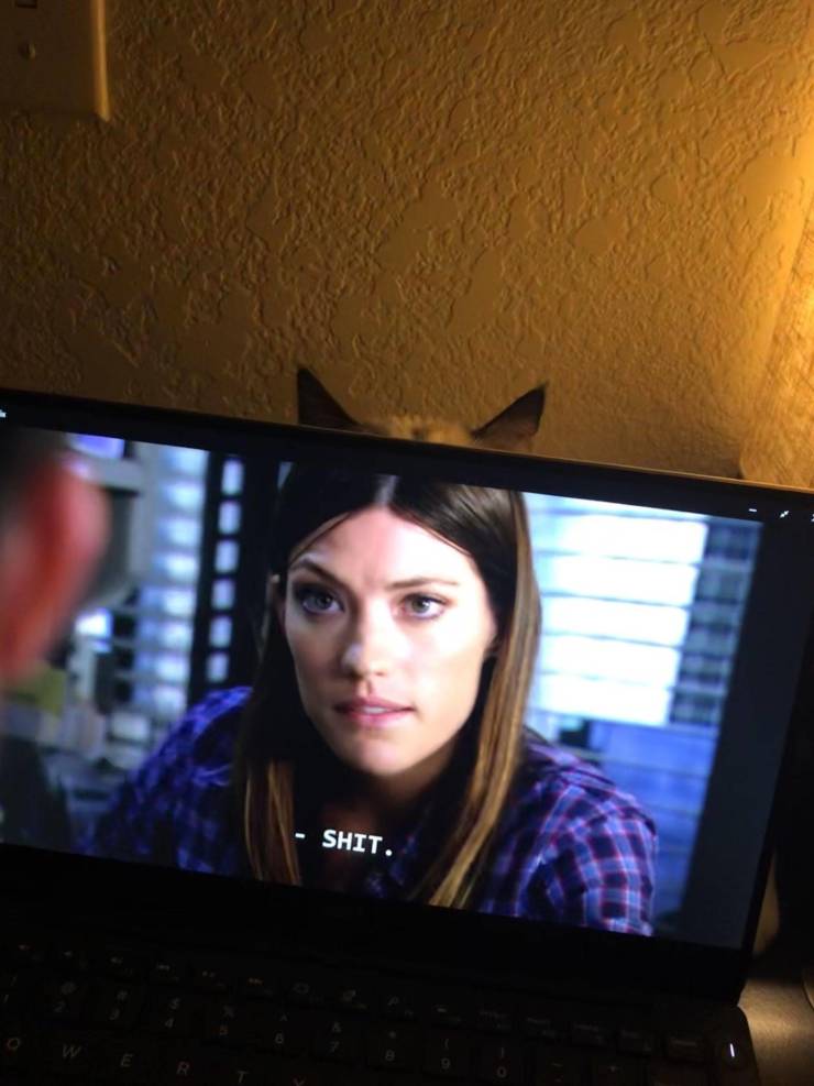 Подборка смешных картинок Подборка смешных картинок смешные картинки,фото-приколы,юмор