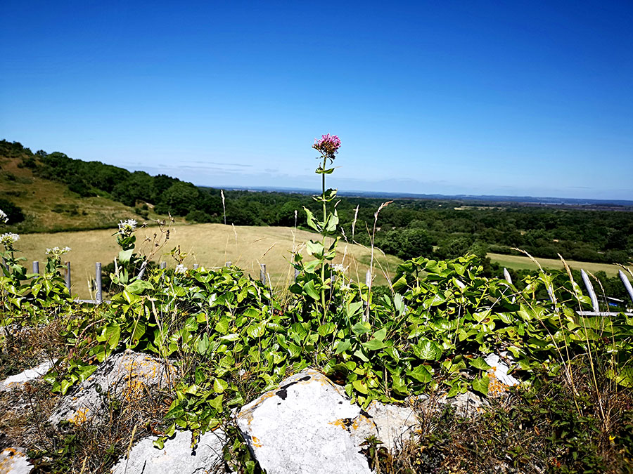 Замок Корф (Corfe Castle) – Одно Из Самых Загадочных Мест Графства Дорсет авиатур