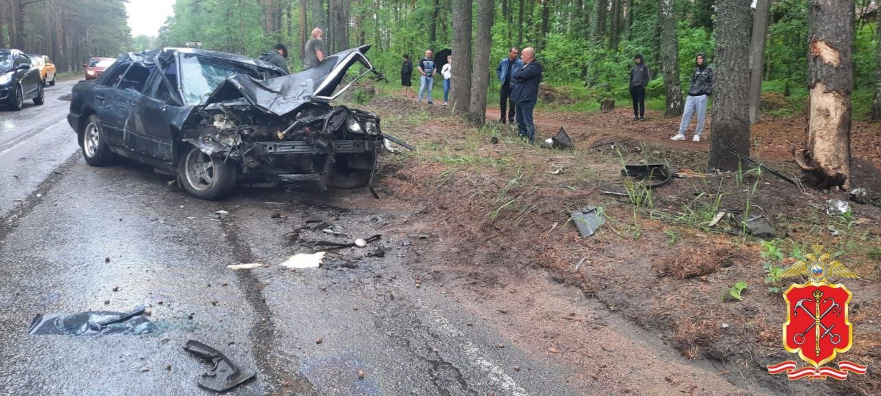 Маневр не в том месте: в Ленобласти водитель погиб после столкновения с деревом