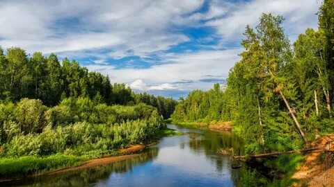 Леса и реки России (104 фото) .