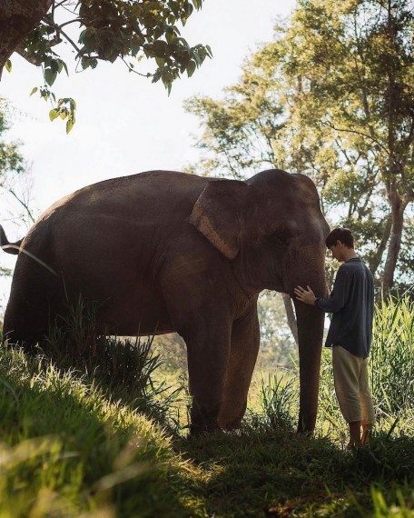 Позитив сплошь и рядом Позитив сплошь и рядом
