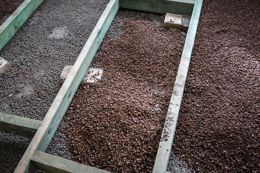 Как защитить дом от проникновения мышей Как защитить дом от проникновения мышей