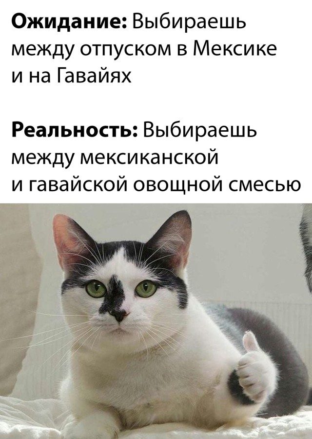 Приколы Декабря 2021 позитив,смешные картинки,юмор