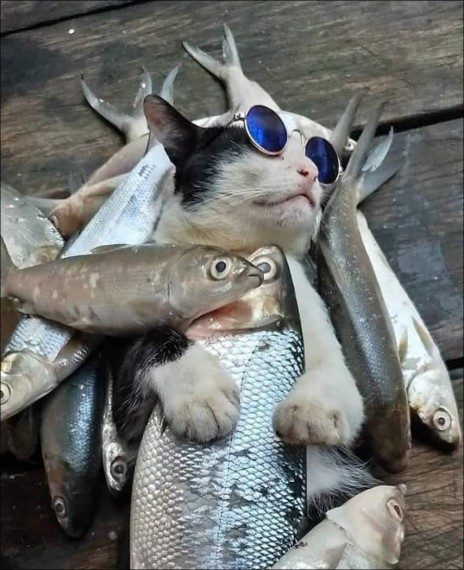 Позитив сплошь и рядом