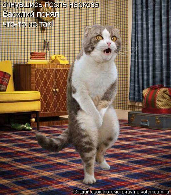 Рано или поздно дети последуют вашему примеру, а не вашим советам Рано или поздно дети последуют вашему примеру, а не вашим советам демотиваторы,приколы,Хохмы-байки,юмор