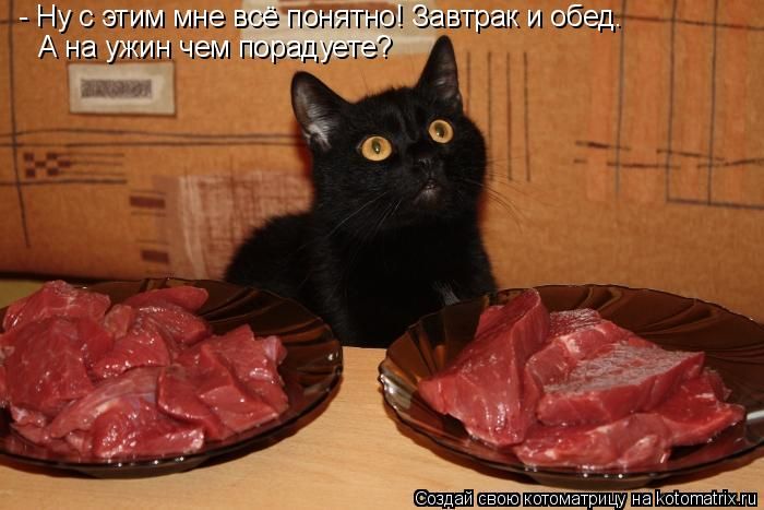 Мысли вслух :)