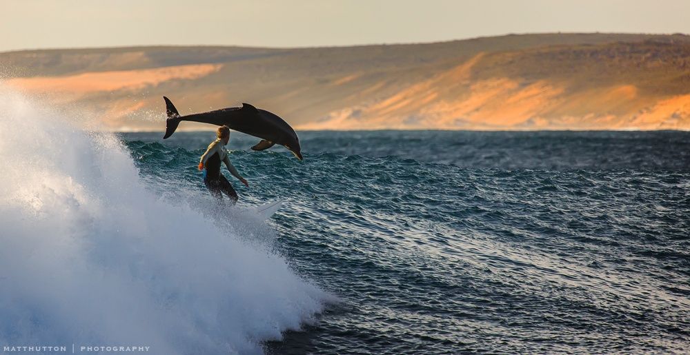 Когда очень хочется в Австралию Австралия