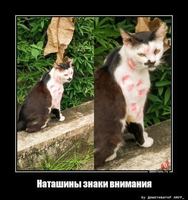 Демотиваторы дня: «На стыке двух эпох…» 