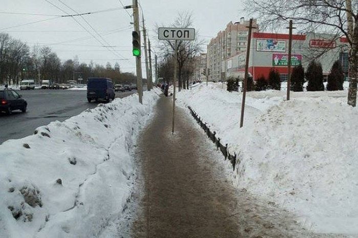 Подборка юмора и веселья в картинках и фотографиях