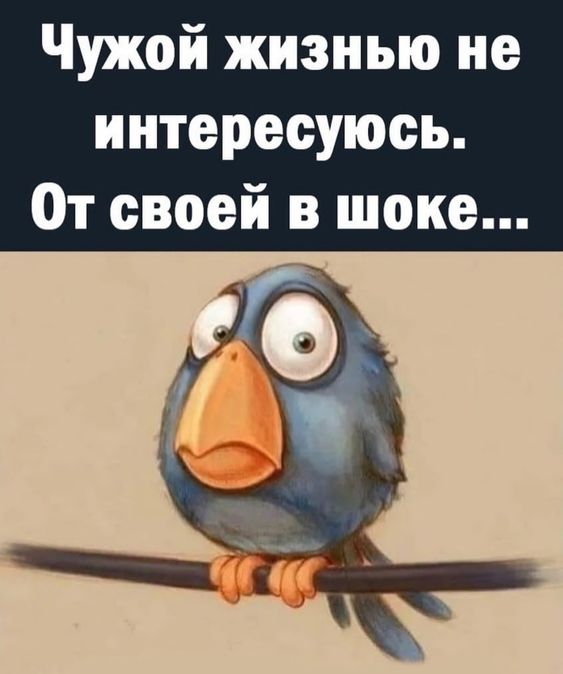 Задорные шутки с сарказмом 