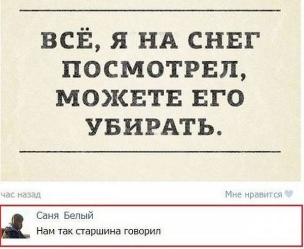 Старшина глупости не скажет... армейская жизнь, армия, в армии, идиотизм, кто в армии служил..., прикол, юмор