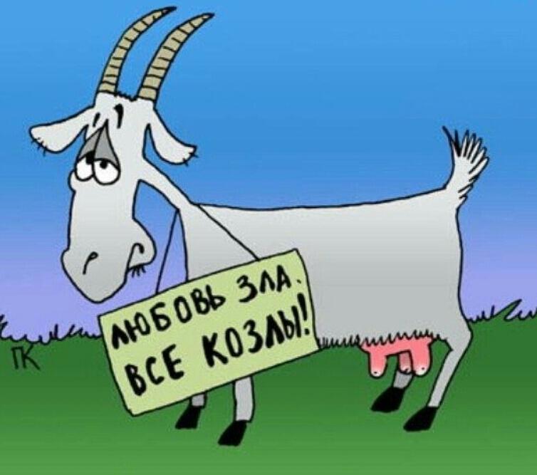 Любовь зла ответишь за козла