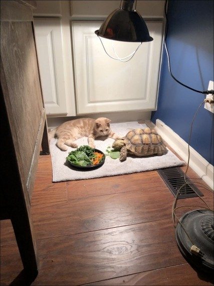 Позитив сплошь и рядом Позитив сплошь и рядом