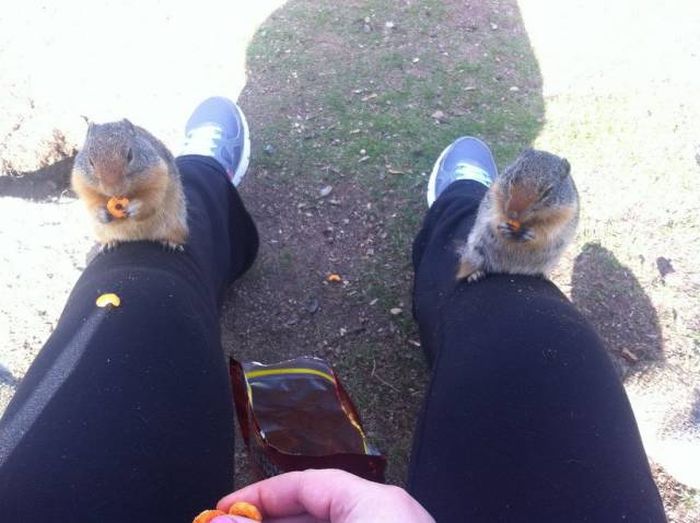 Прикольные картинки. Вечерний выпуск (100 фото)