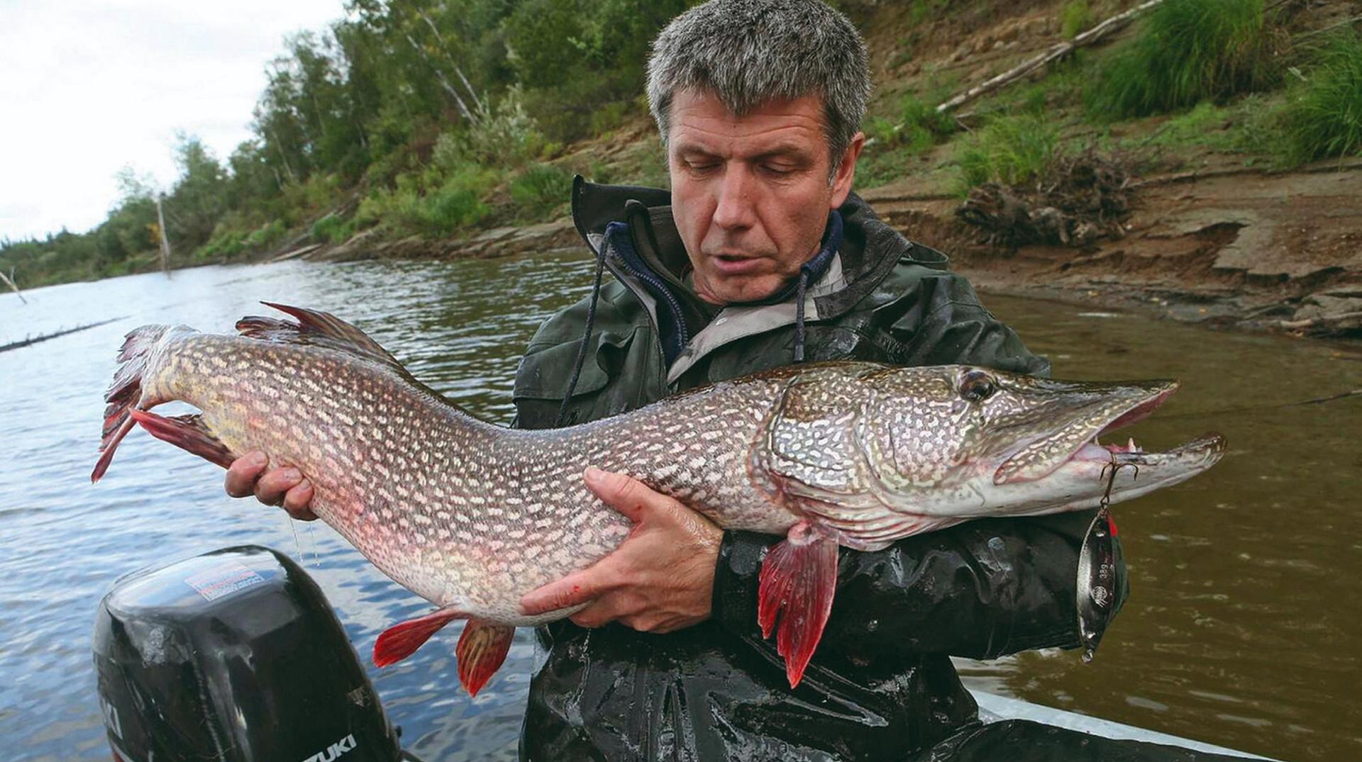Рыбалка у каждого своя: философия, улов и вечные ценности на берегу