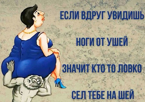 Жизнь научила смотреть в обе стороны при переходе дороги с односторонним движением и проверять, не горячая ли вода течет из Жизнь научила смотреть в обе стороны при переходе дороги с односторонним движением и проверять, не горячая ли вода течет из