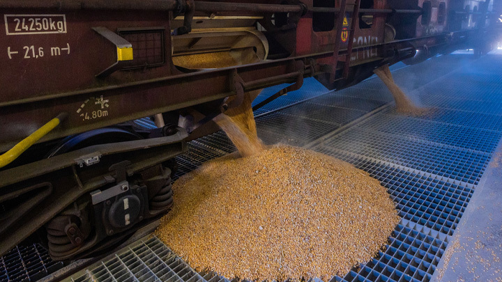 ЭРДОГАН ПОШЁЛ НА ШАНТАЖ? РОССИЯ НА РАСПУТЬЕ ПЕРЕД НОВОЙ "ЗЕРНОВОЙ СДЕЛКОЙ"