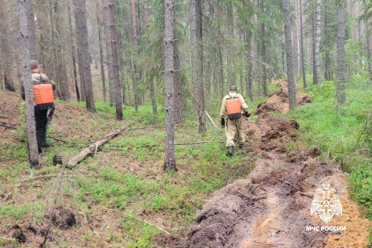 В Тверской области потушили пожар в лесу