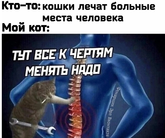 Если о твоих гадостях никто не узнает, то ты не только избежишь всех неприятностей, но и не получишь никакого удовольствия Если о твоих гадостях никто не узнает, то ты не только избежишь всех неприятностей, но и не получишь никакого удовольствия чтобы, только, квартире, говорит, пятно, книги, сосиски, появилось, процесс, Давай, стоит, снова, точно, машину, жилец, читать, после, через, черное, нужно