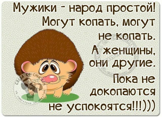 25 классных анекдотов и шуток. Заряд позитива на весь день 25 классных анекдотов и шуток. Заряд позитива на весь день