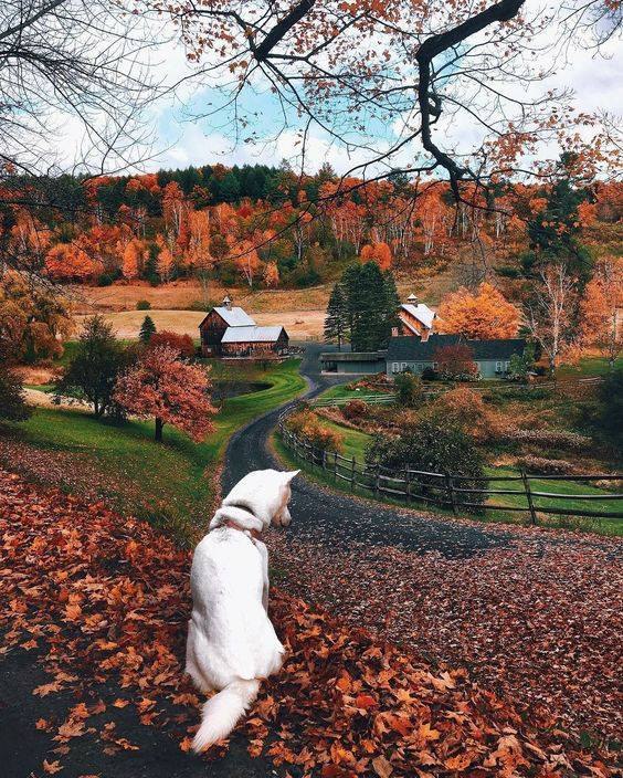 Классные, красивые и шикарные фотографии для настроения 