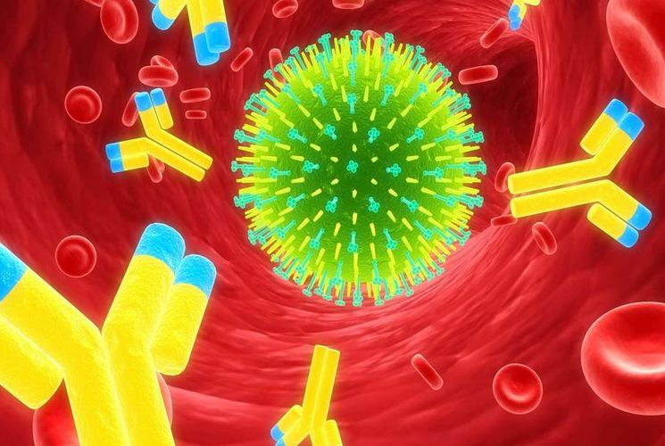 Препараты иммуномодуляторы — доказана ли их эффективность?