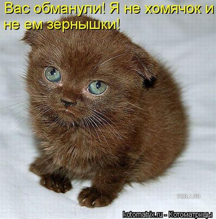 Мысли вслух :)