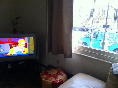 Случайно-удачные кадры Случайно-удачные кадры