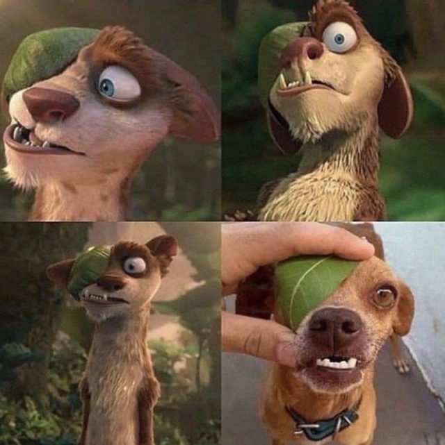 Позитив и приколы Позитив и приколы