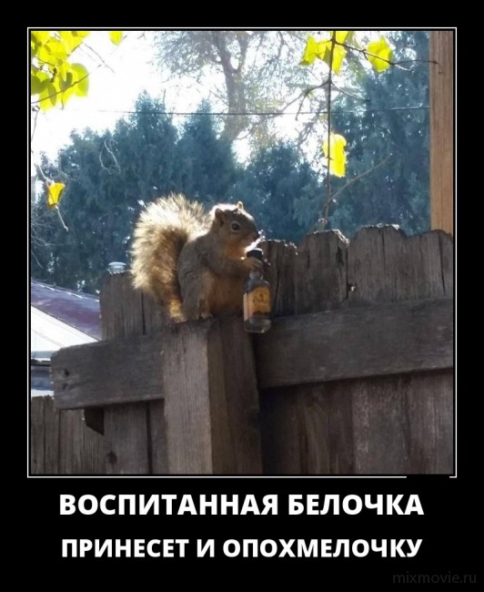 Классные, веселые и забавные демотиваторы из сети демотиваторы свежие,смешные демотиваторы,юмор