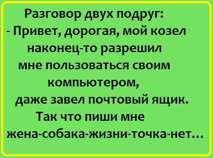 Женщины жалуются друг другу: — Мой благоверный живет одним днем!… Юмор,картинки приколы,приколы,приколы 2019,приколы про