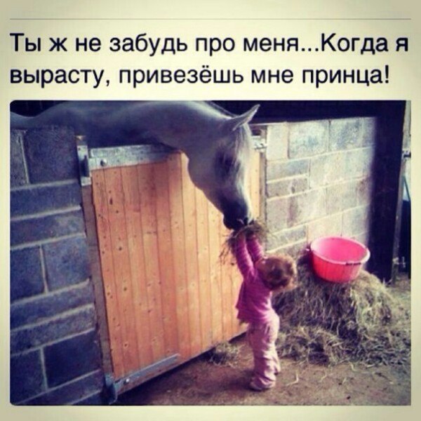 Солянка из веселых картинок и смешных фотографий с надписями 